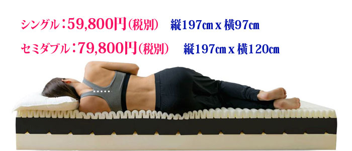 �r�u���[�g�P�̏ڂ������͂�����